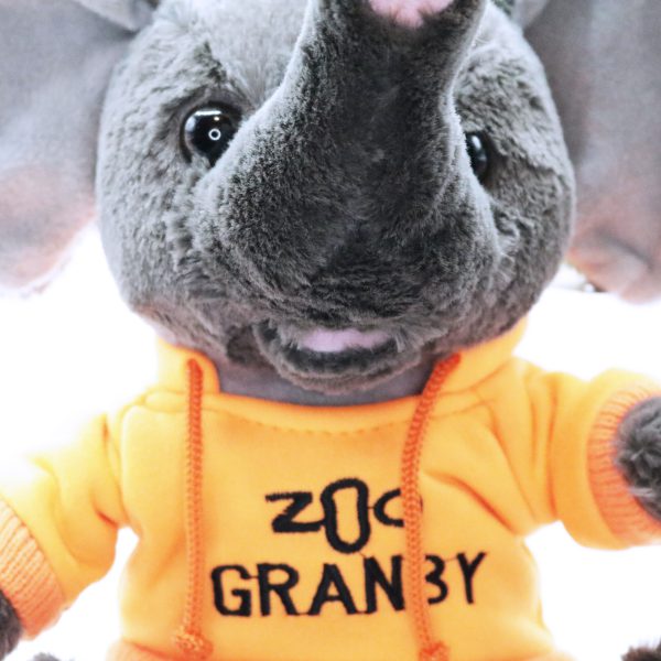 Peluche éléphant avec chandail brodé du Zoo de Granby