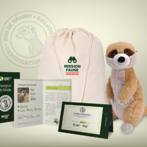 NEW - Adoptive parent The Adventurer- Meerkat