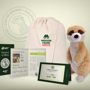 NOUVEAU - Parent adoptif Aventurier- Suricate