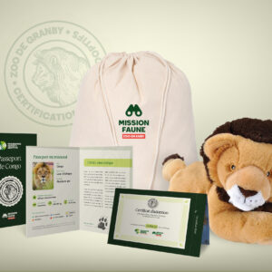 Parent adoptif Aventurier- Lion