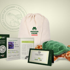 Parent adoptif Aventurier - Tortue verte