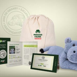 NEW - Adoptive parent The Adventurer- Common Hippopotamus