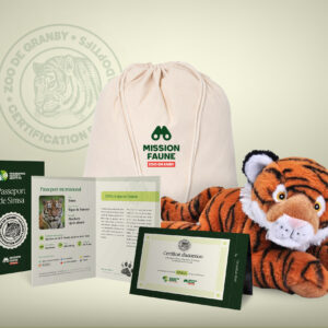 Parent adoptif Aventurier- Tigre de l'amour