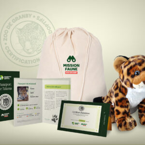 Parent adoptif Aventurier- Jaguar