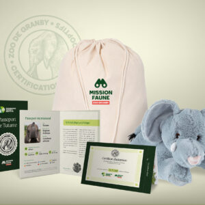 NEW - Adoptive parent The Adventurer- Elephant