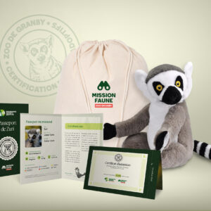NEW - Adoptive parent The Adventurer- Ring-tailed lemur