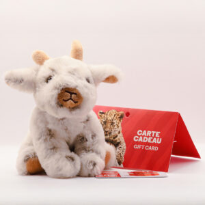 Little Goat Gift Pack