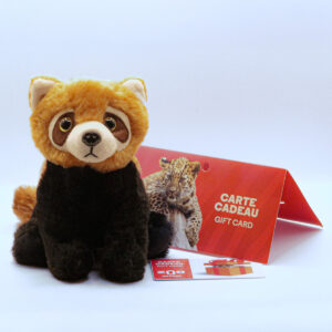 Sweet Little Panda Gift Pack